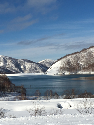 速やかな遺産分割の必要性　画像