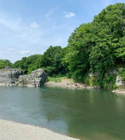 夏季休暇のお知らせ