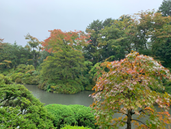 年末年始休業のお知らせ